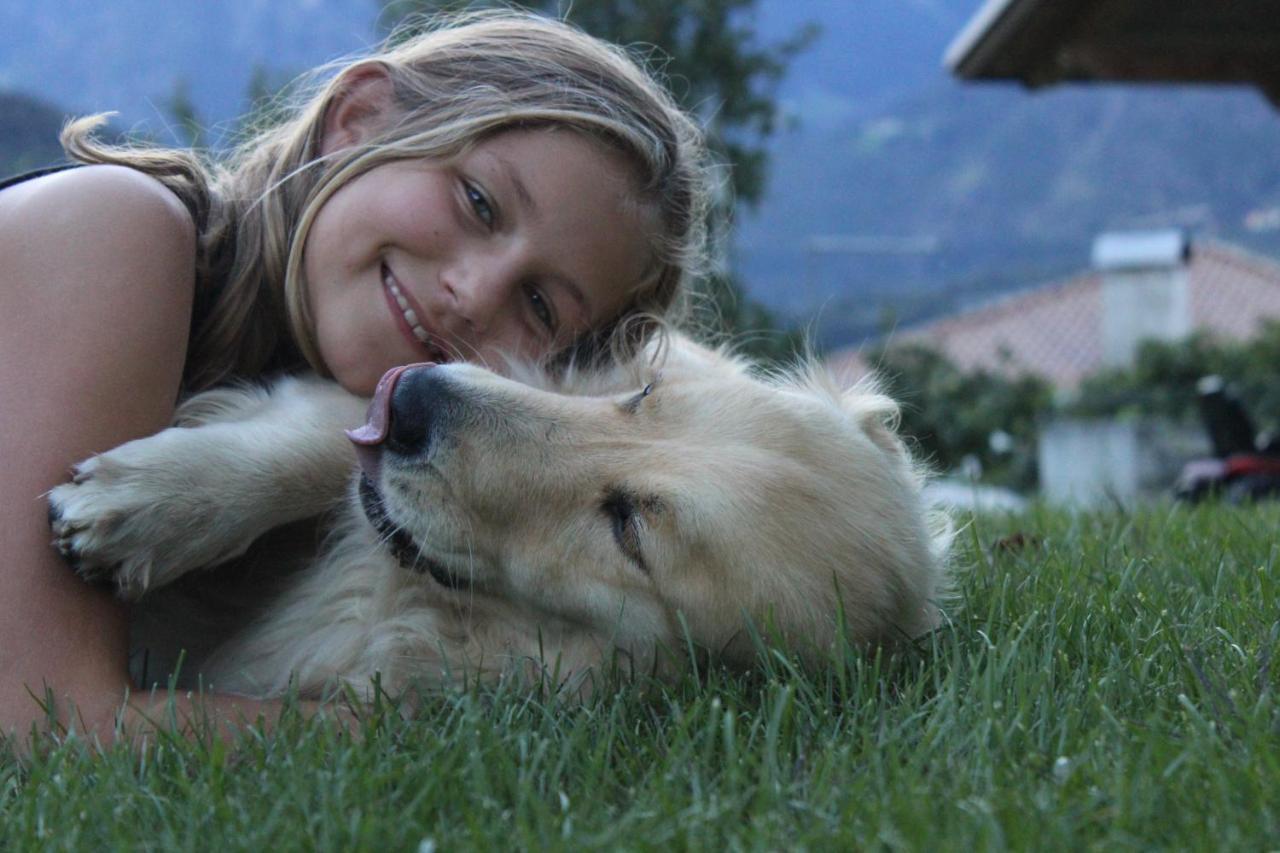 Moserhof Marlengo Dış mekan fotoğraf