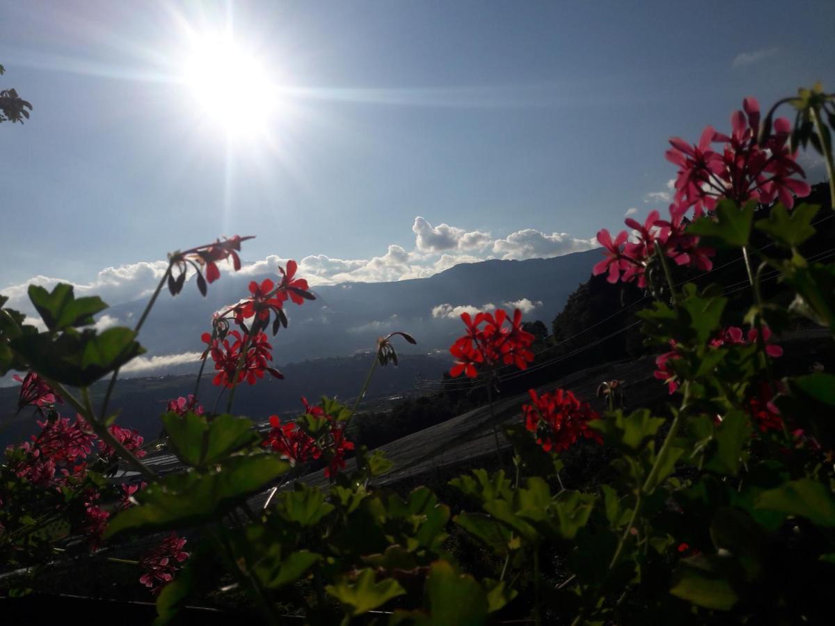 Moserhof Marlengo Dış mekan fotoğraf